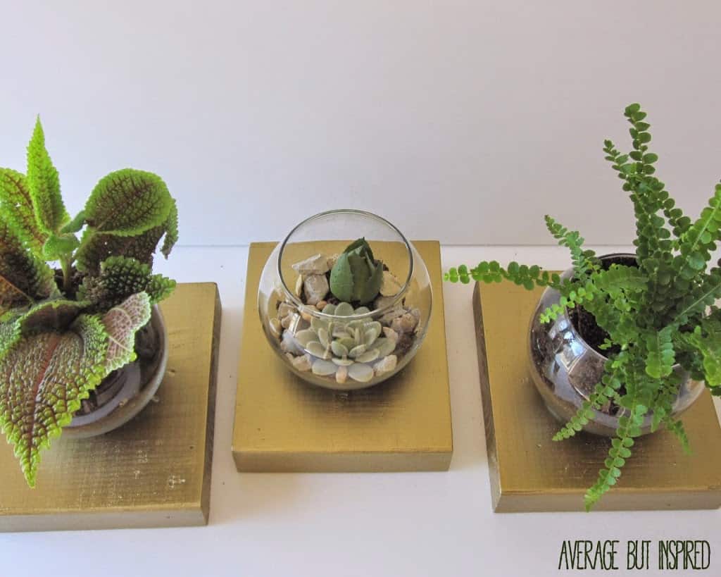 Learn to make a DIY faux brass base terrarium. It's easy and makes for a chic and modern planter or terrarium.