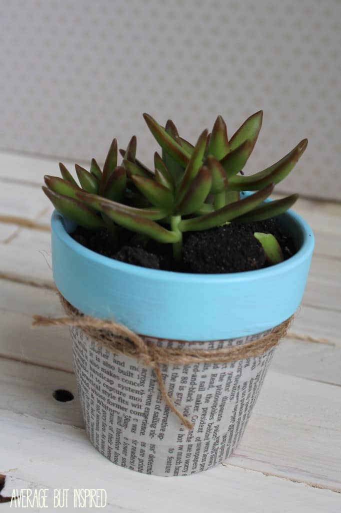 These little newspaper pots are so charming! They make a cute gift, too!