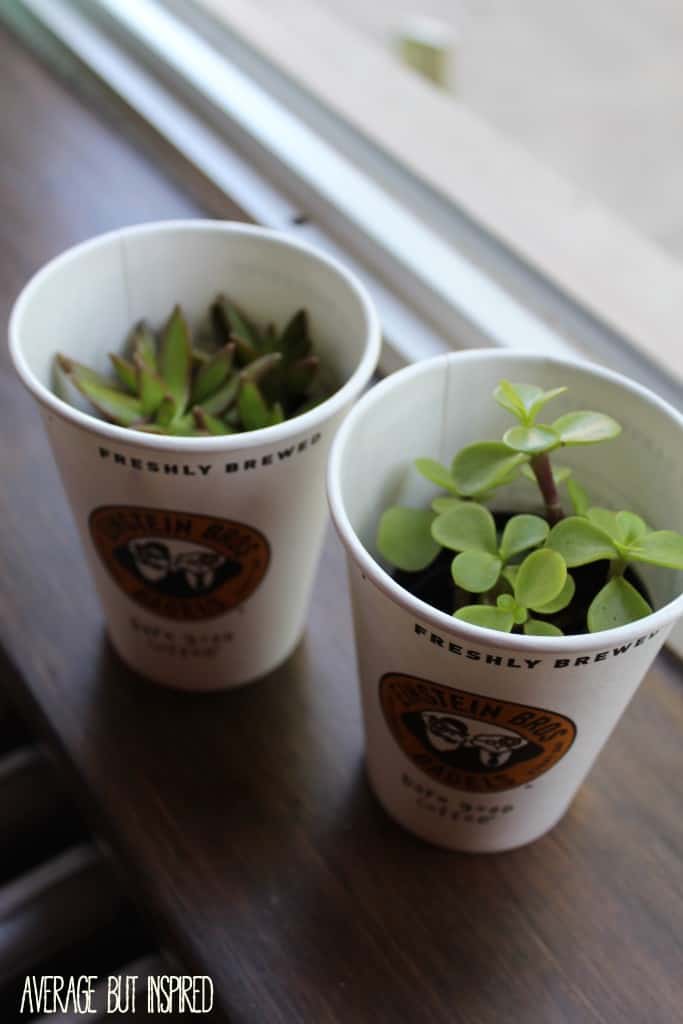 These little newspaper pots are so charming! They make a cute gift, too!