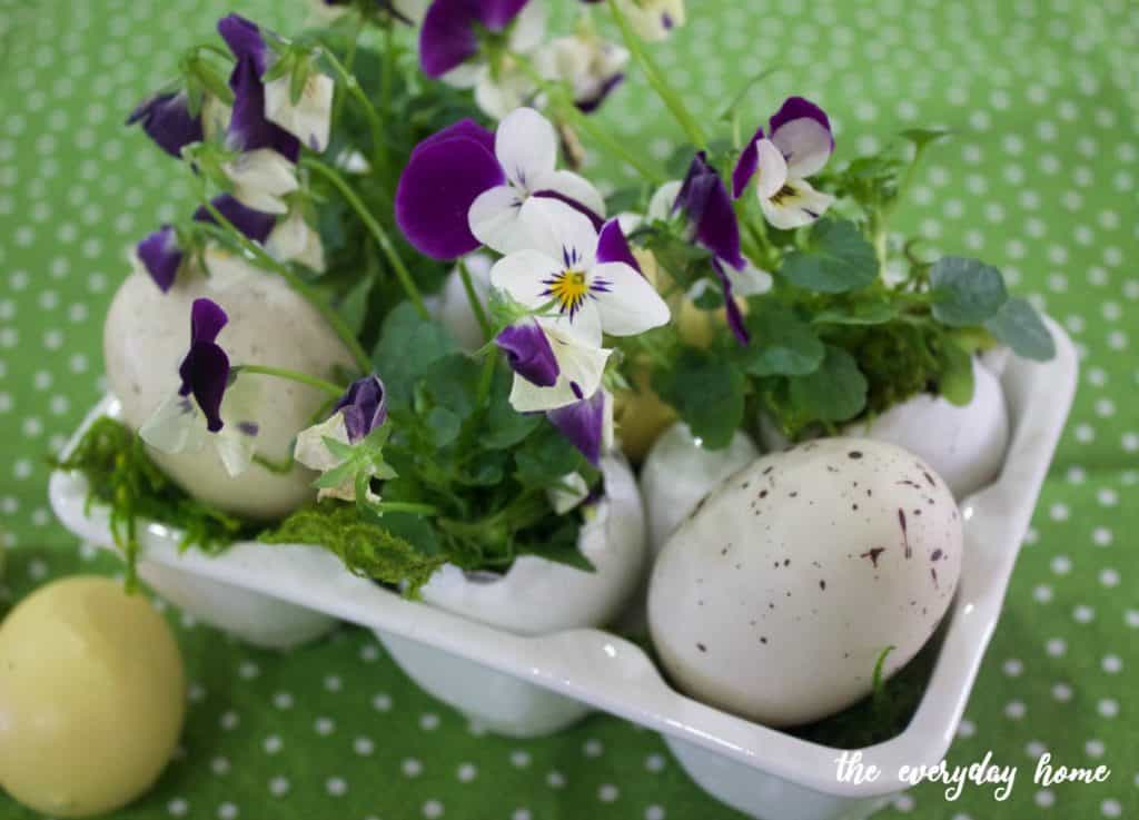 Eggshell-Viola-Planters-The-Everyday-Home-www.everydayhomeblog.com_