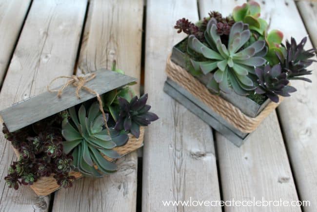 Rustic Succulent Planters - Florist bucket transformation - a great way to bring the outdoors inside this spring!