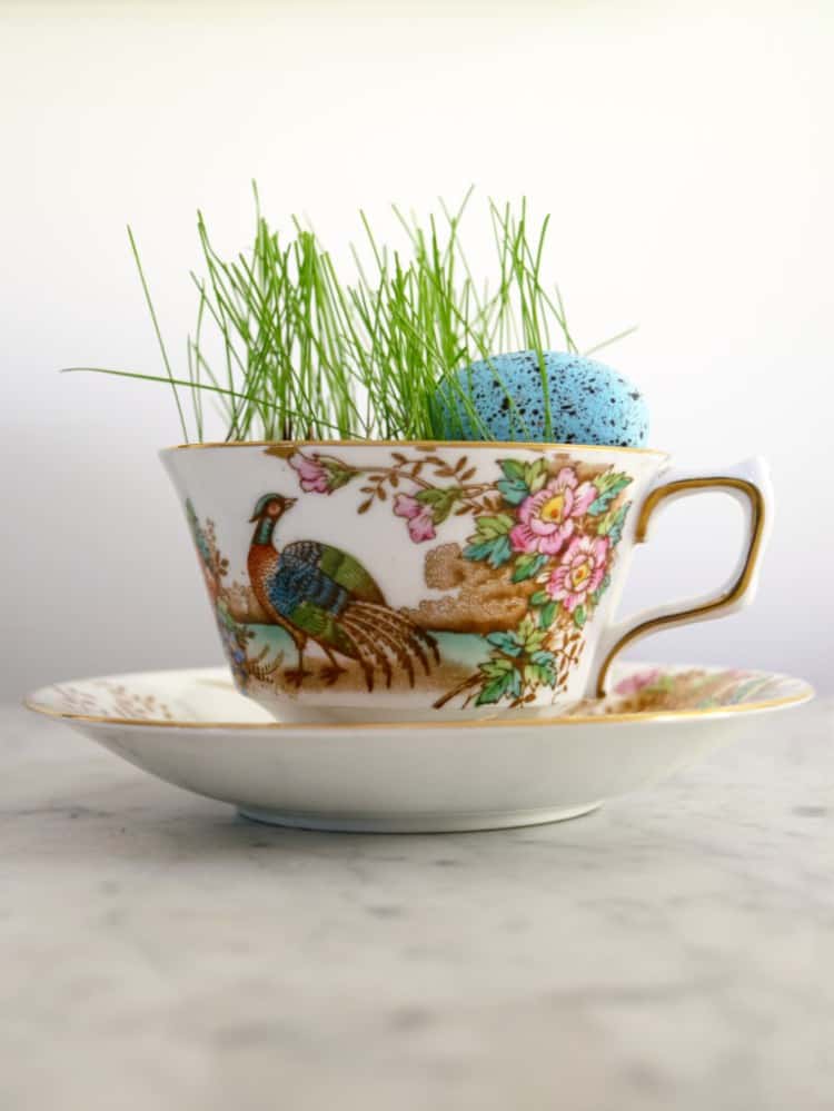 Mini Teacup Planters - Florist bucket transformation - a great way to bring the outdoors inside this spring!