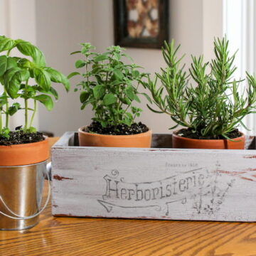 Transform a wood box into a DIY indoor herb garden.