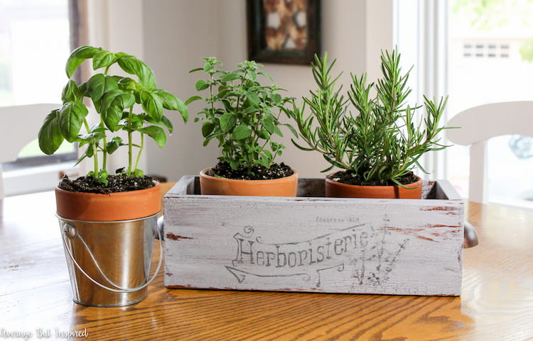 An ugly wooden box from the thrift store gets a pretty new life as an indoor herb garden.