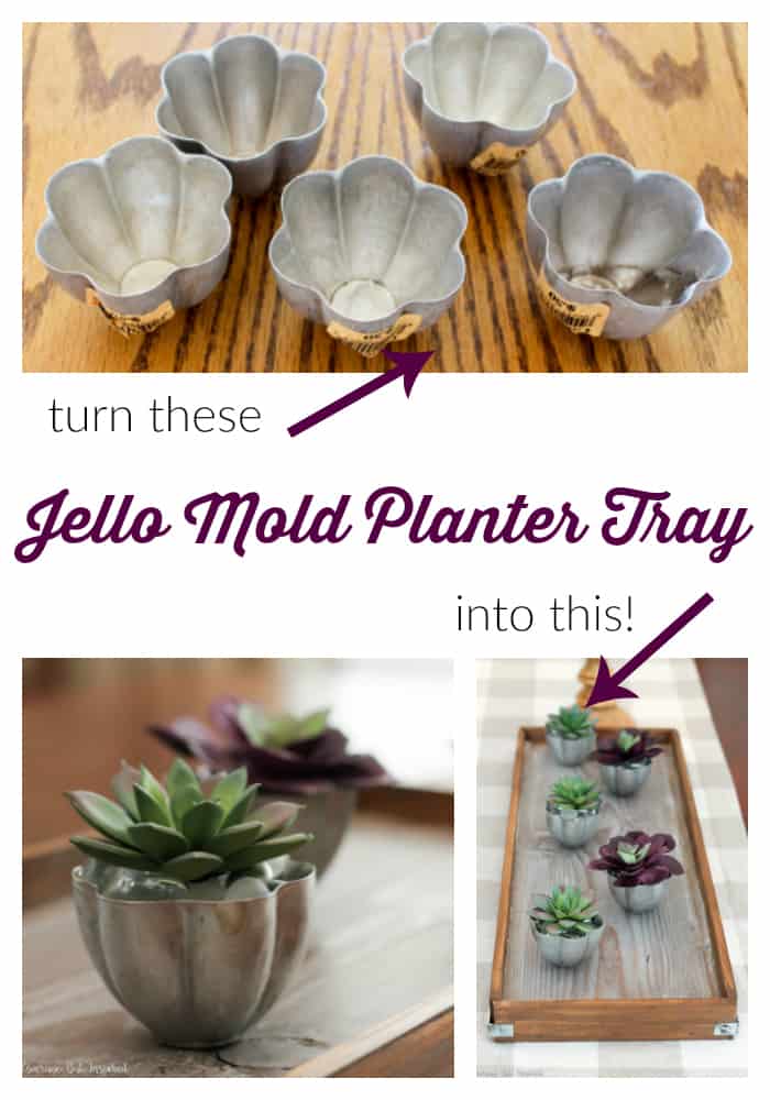 Upcycled Mini Jello Mold Planter Tray - Average But Inspired