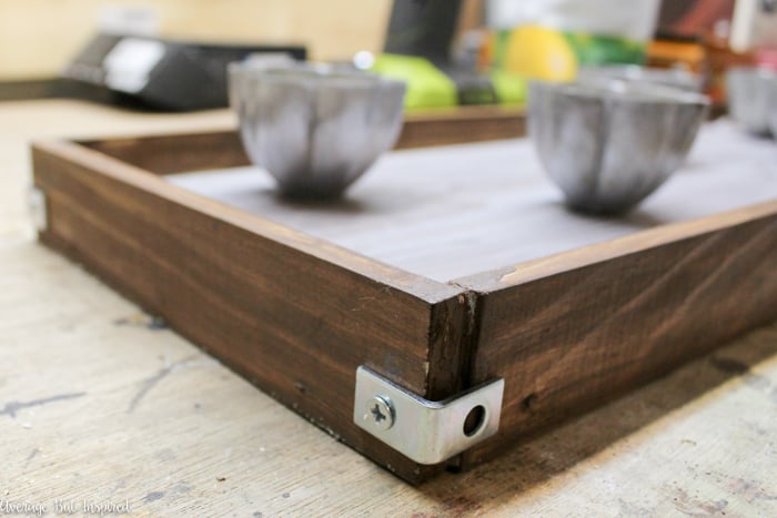 Upcycled Mini Jello Mold Planter Tray - Average But Inspired