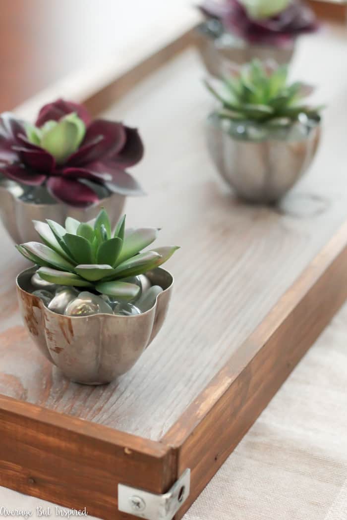 https://averageinspired.com/wp-content/uploads/2018/02/Jello-Mold-Succulent-Planters-2727.jpg