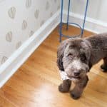 How to Apply Wall Decals for a Faux Wallpaper Look