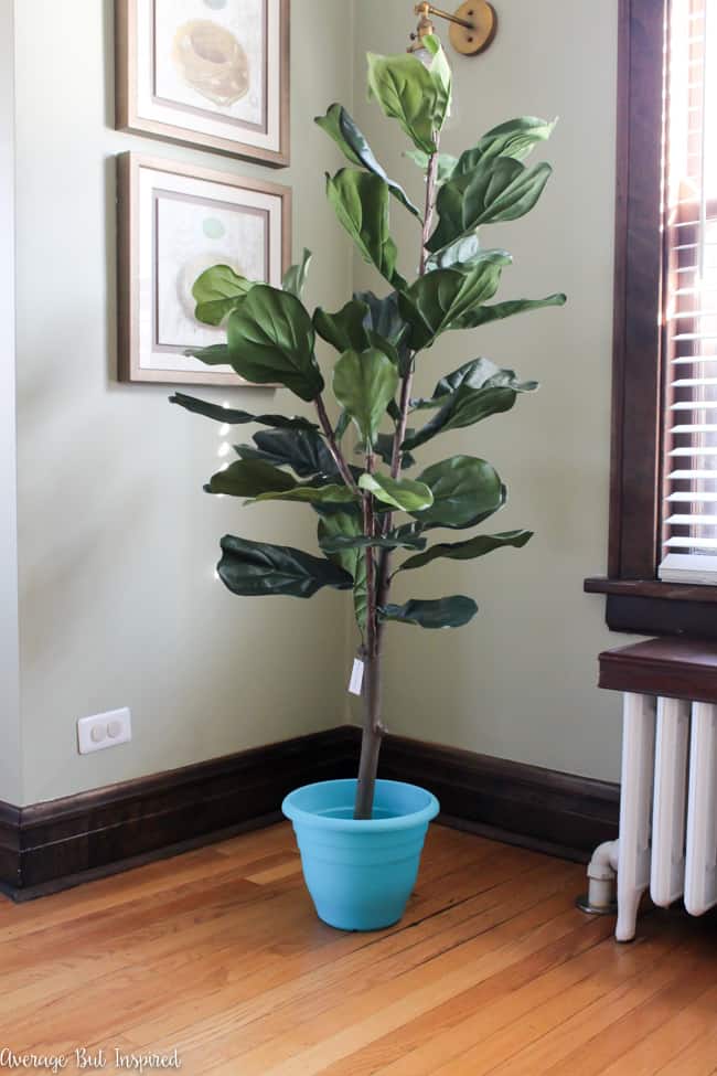 This tiny plastic pot is one of the dollar store items used to make a fake fiddle leaf fig tree look real! Read this post to see the other steps to making a fake plant look authentic.