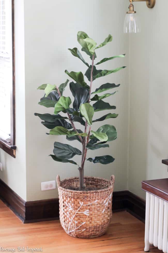 This is great! It's actually super easy to make any fake plant look real with these tips! See how this blogger made her fake fiddle leaf fig tree look real with dollar store supplies. 