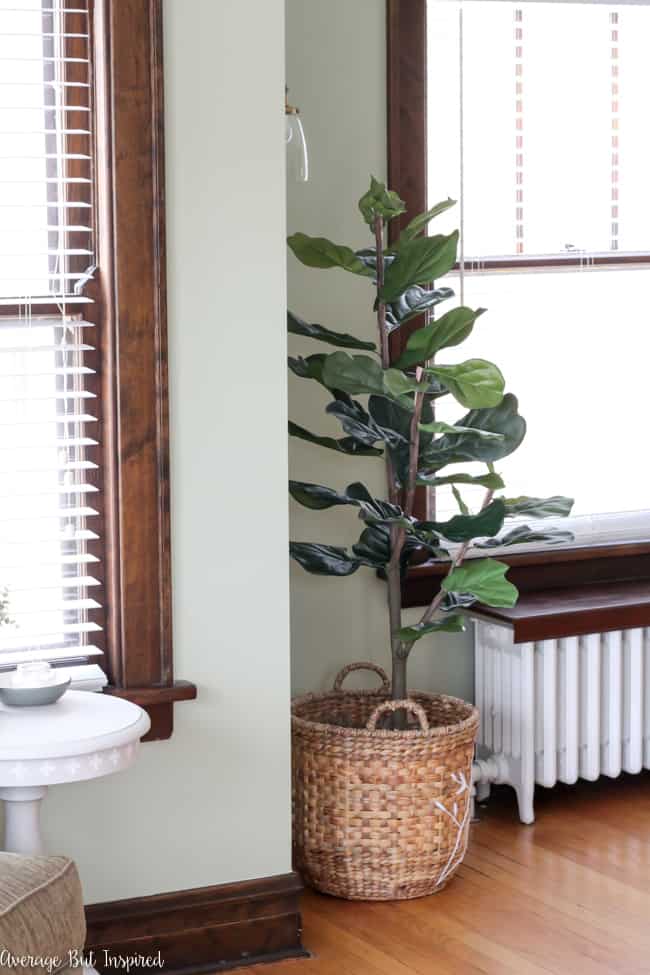 This is great! It's actually super easy to make any fake plant look real with these tips! See how this blogger made her fake fiddle leaf fig tree look real with dollar store supplies. 