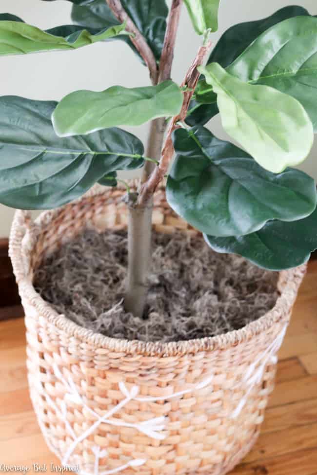 This is great! It's actually super easy to make any fake plant look real with these tips! See how this blogger made her fake fiddle leaf fig tree look real with dollar store supplies. 