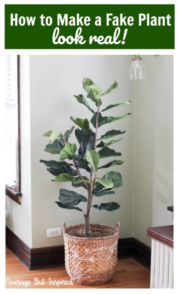 How to Make a Fake Fiddle Leaf Fig Tree Look Real Average But Inspired