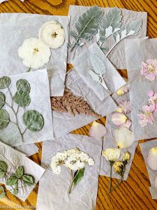 How to Press Flowers in a Book - Average But Inspired