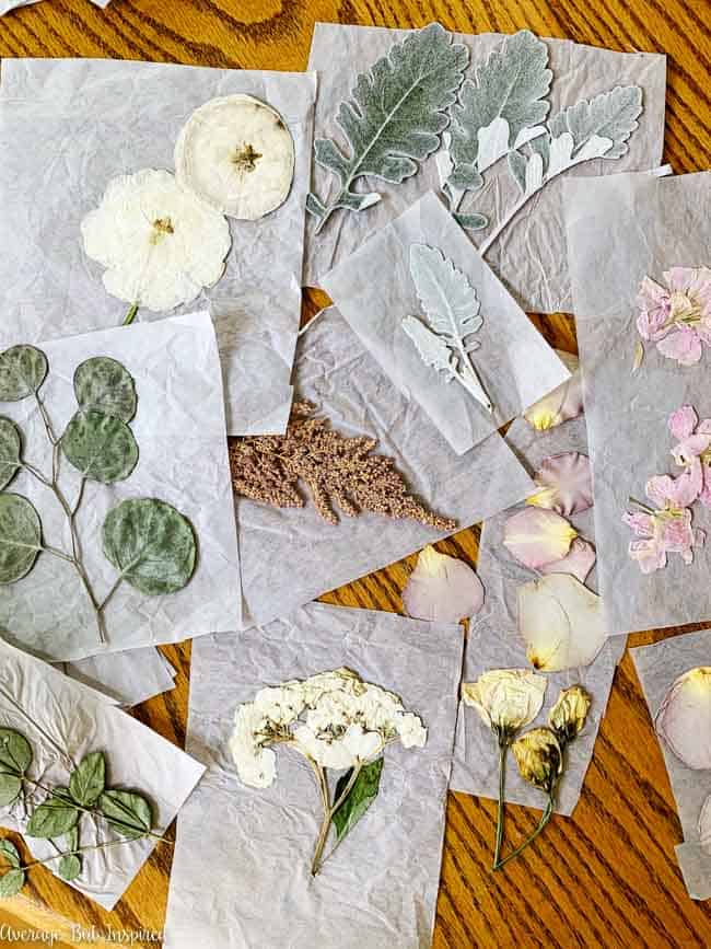 How to Dry and Press Flowers