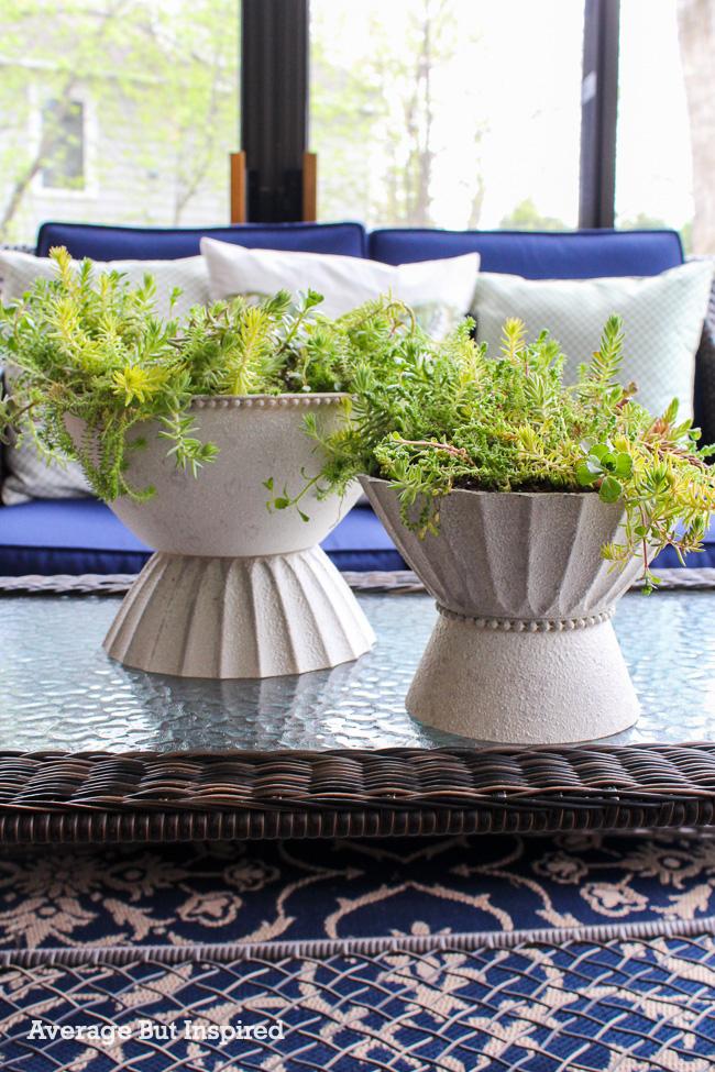 These DIY Modern Planters were made with plastic serving bowls from the dollar store! Learn how to make these indoor OR outdoor modern planters in this post.