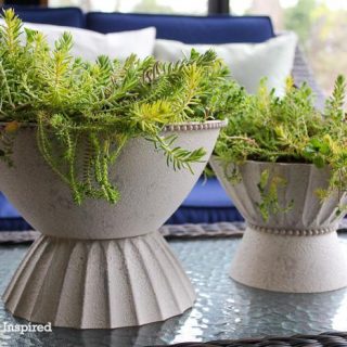 How to Make a DIY Modern Planter for Indoor or Outdoor Use
