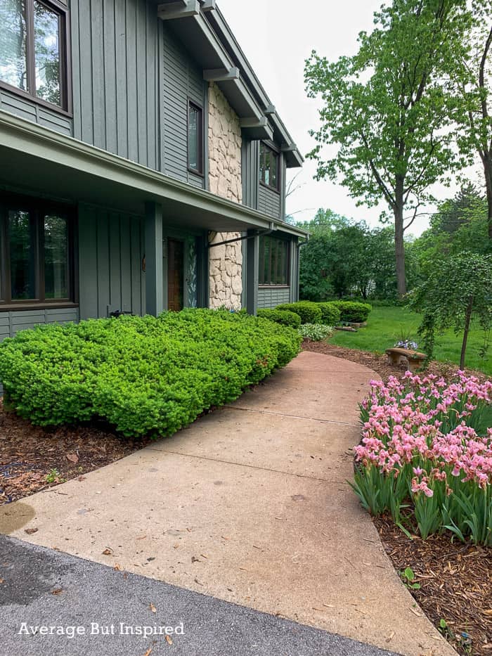 Before: this house had overgrown bushes in front. Now it has a beautiful flagstone patio in the front yard.