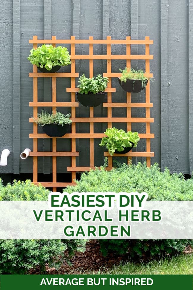 Learn how to build a DIY vertical herb garden in this post! It's an easy-to-follow tutorial that you can make in an afternoon.