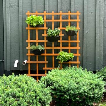 Build a DIY vertical herb garden in one afternoon. This is the easiest vertical garden you can make!