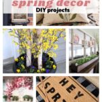 Looking to refresh your home for spring? Check out these great spring decor DIY ideas!